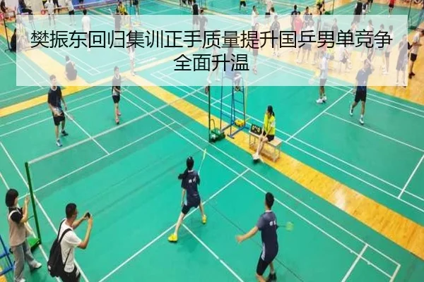 樊振东回归集训正手质量提升国乒男单竞争全面升温（KaiyuanGames）