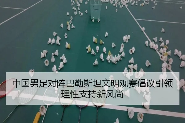 中国男足对阵巴勒斯坦文明观赛倡议引领理性支持新风尚（KaiyuanGames）